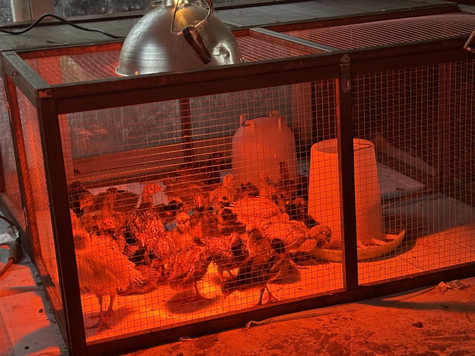 Chicken Coop Run Rabbit Cage No Assembly Portable Chicken Run Bunny House with Top & Side Opening Doors,Outdoor Small Animal Playpen Wooden Chicken Brooder Box Guinea Pig Cage 45