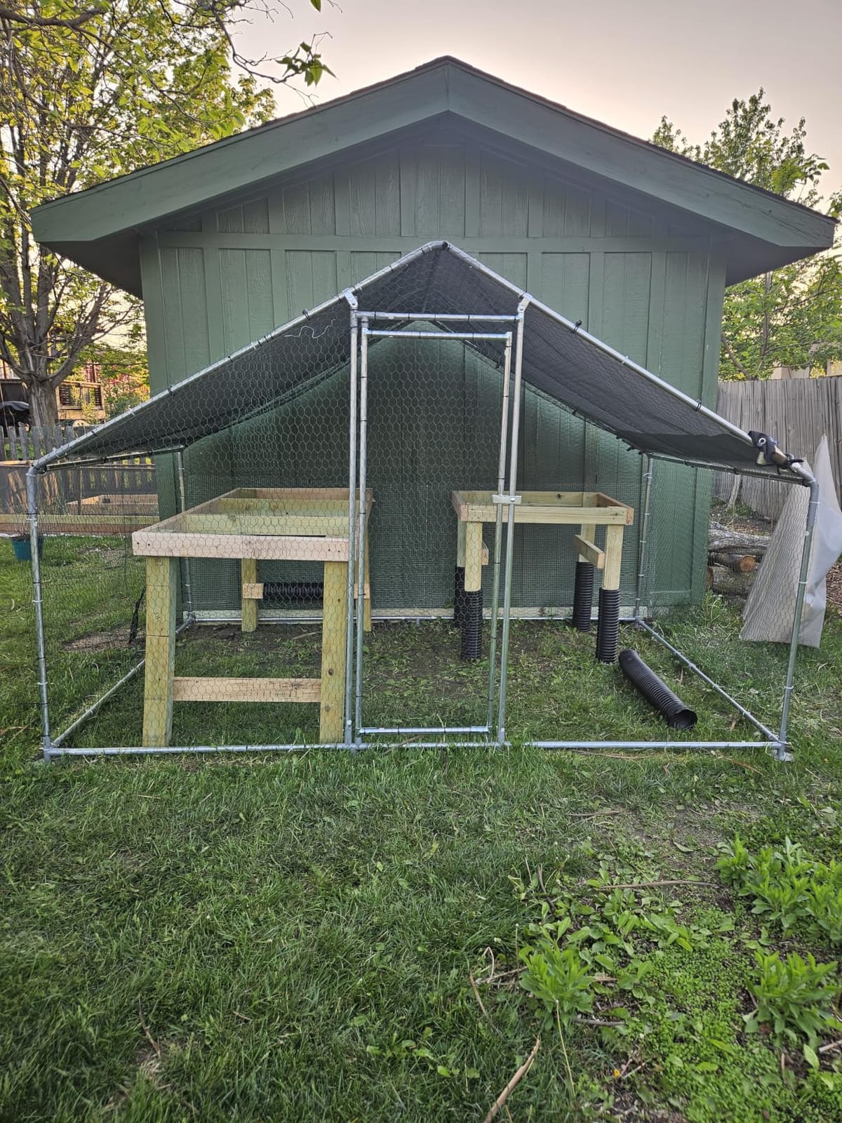 VEVOR Metal Chicken Coop, 6.56x6.56x6.56ft Large Walk-in Chicken Run with Cover, Spire Roof Hen House Enclosure with Security Lock, Outdoor Duck Rabbit Cage, Poultry Pen for Backyard, Farm, Yard customer photo 1