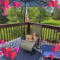 Cumbor 36 in Extra Tall Baby Gate for Stairs, 29.7-51.5 in Dog Gate Black customer photo 1