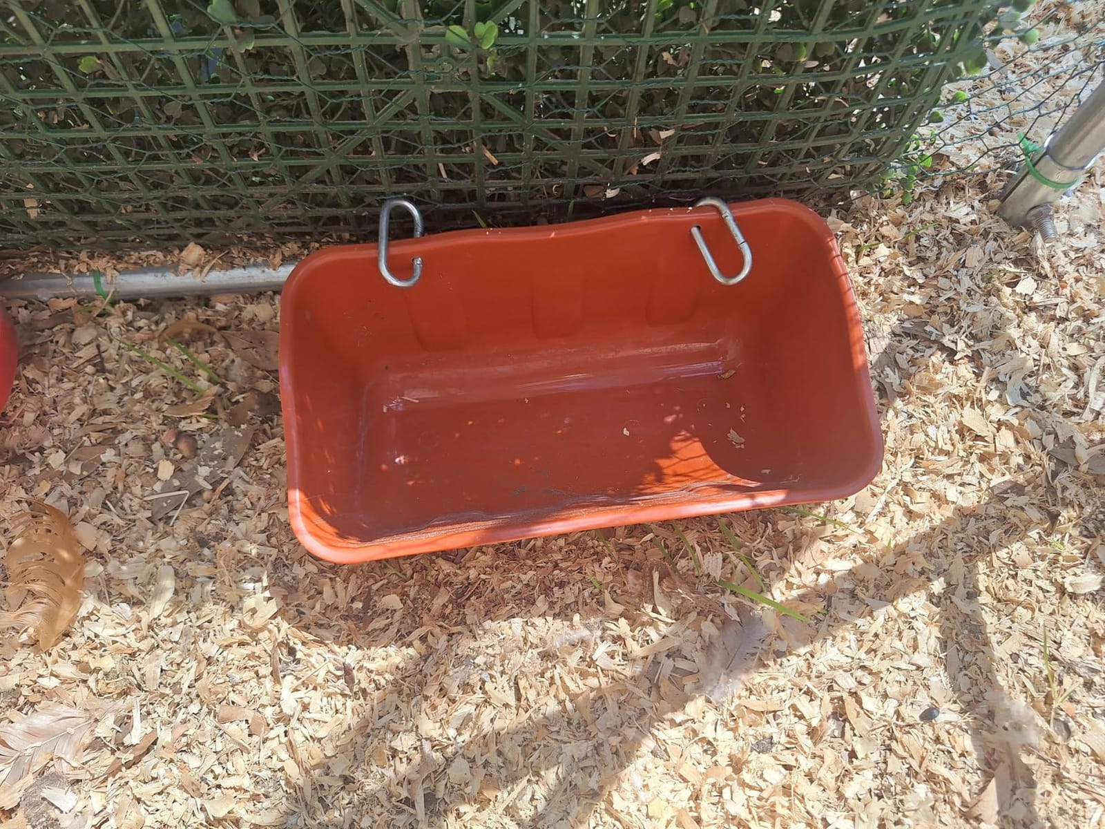 Hanging Chicken Feeders,Duck Feeder Waterer,Small Feed Trough 1.3 Quart 2 Pack,Hanging Fence Feed Trough for Poultry,Black customer photo 2