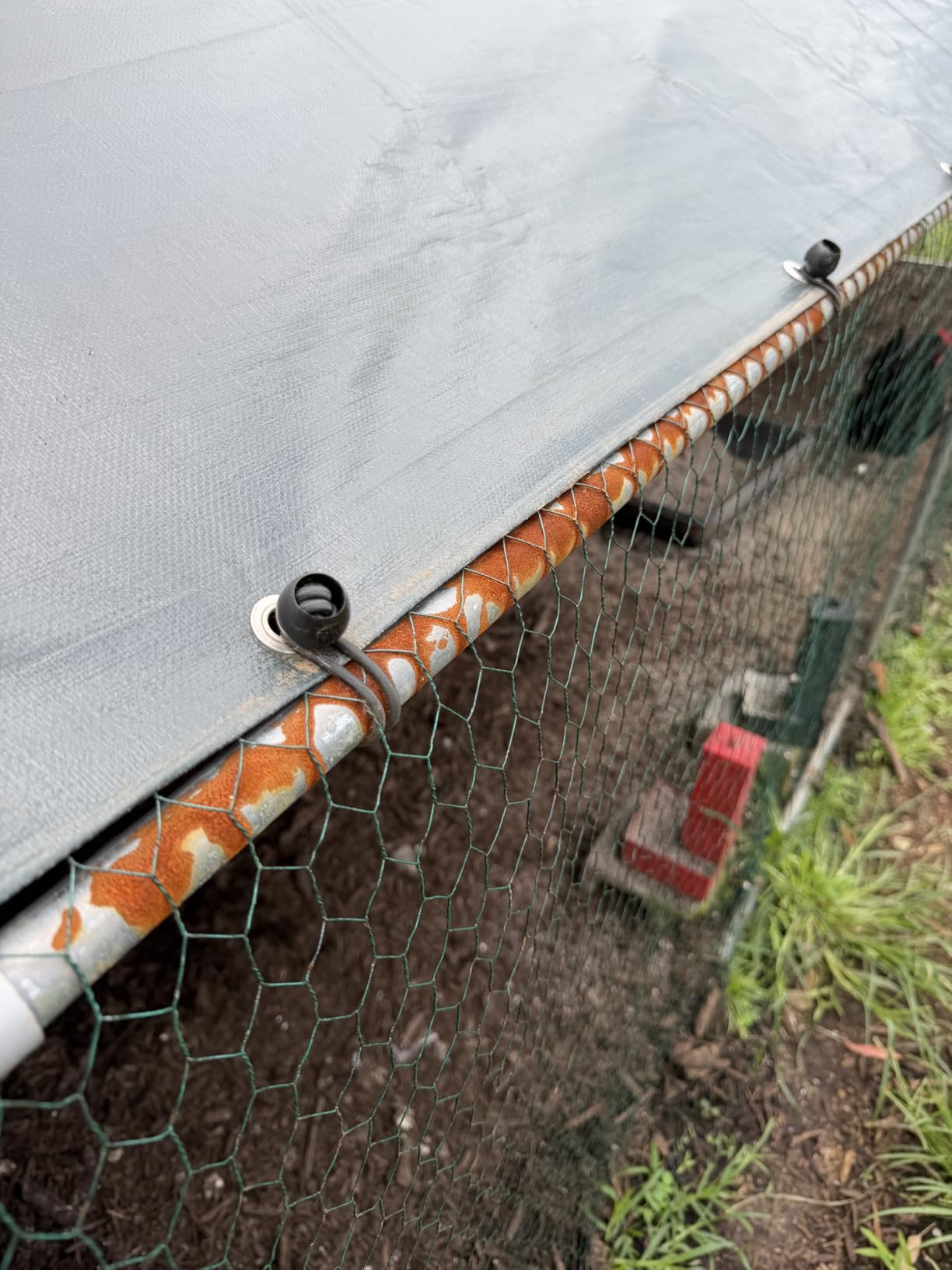 VEVOR Large Metal Chicken Coop,6.6 x 3.3 x 6.6 ft, Walk-in Chicken Run House with Waterproof Cover & Sturdy Frame, Spire Roof Poultry Cage Duck Pen for Rabbit Hen Goose Outdoor Backyard Farm Use customer photo 2