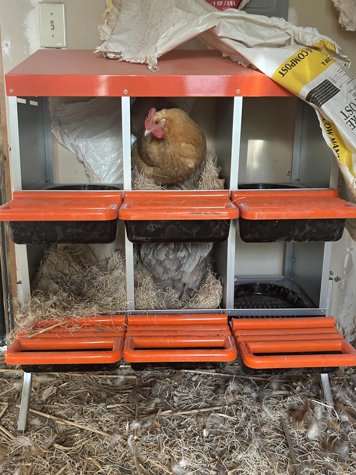 VEVOR Chicken Nesting Boxes, 6 Compartments, with Support Legs, Easy Egg Collection, Galvanized Steel and High-Strength Plastic, Roll Away Nesting Boxes for Chickens and Hens Laying Eggs, Orange customer photo 1