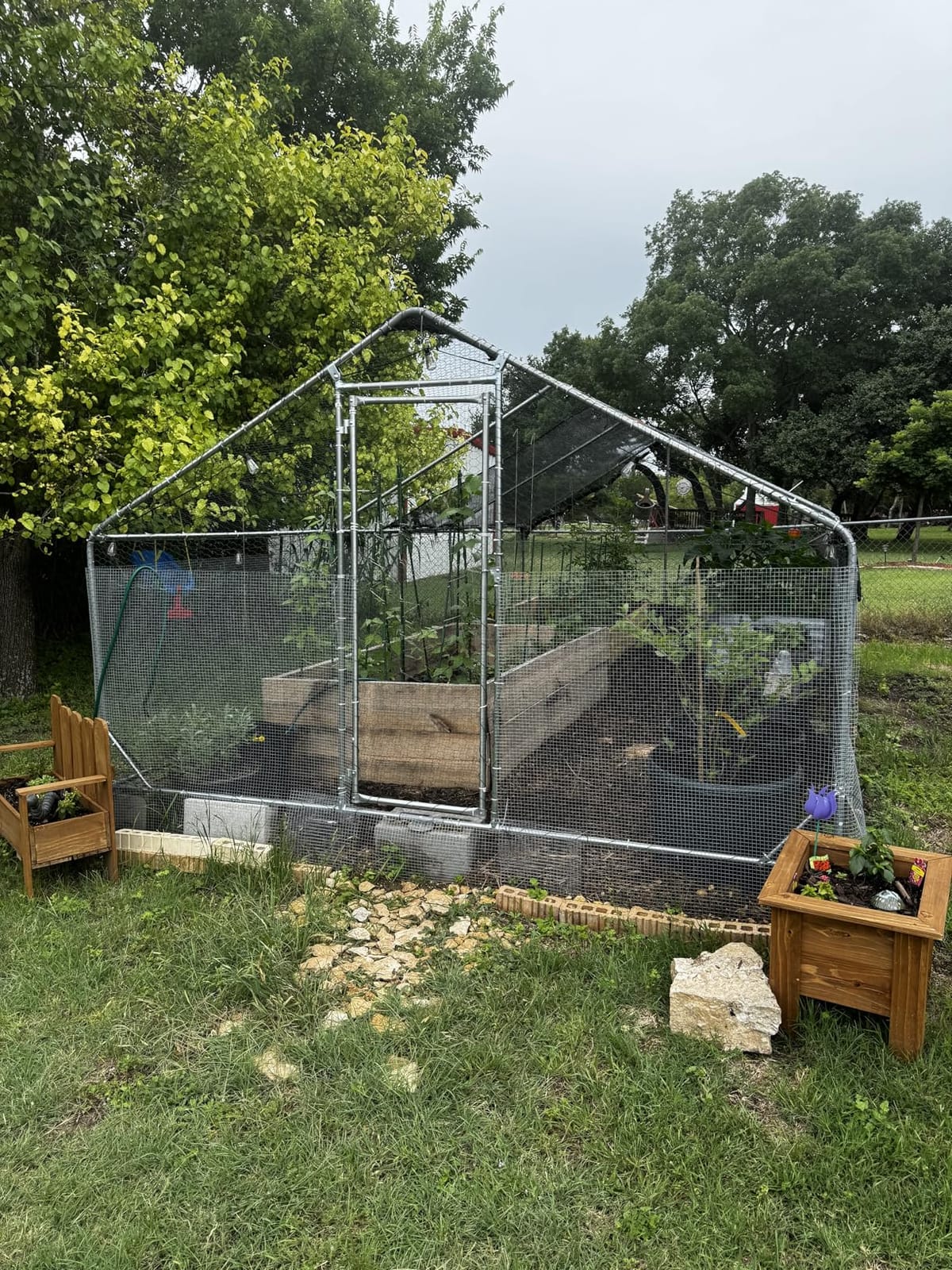 Aoxun Large Metal Chicken Coop, Outdoor Chicken Runs for Yard with Cover, Spire Roof Hen House Enclosure with Security Lock, Walk-in Cage Peak Hen House for Yard Farm (10x20x6.4 FT) customer photo 2