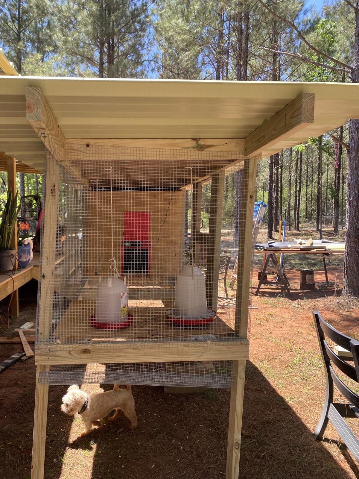 Automatic Chicken Coop Door Solar Powered XL Chicken Door 3 Modes customer photo 2